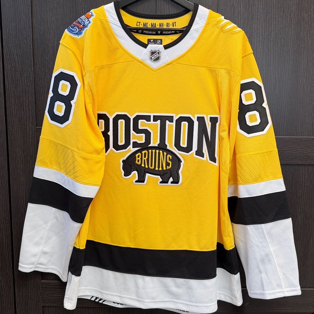 Boston Bruins David Pastrnak Fanatics Gold '26 NHL Stadium Series Premium Jersey